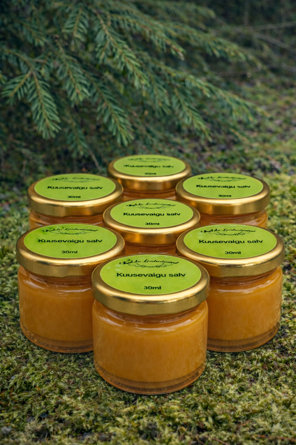 Kuusevaigu salv põletik punetus haavad, põletus, ekseem, psoriaas, sõrmelõhed, kannalõhed